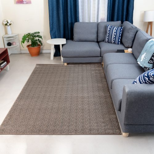 Carpet rug Kimya Gray in living room setting